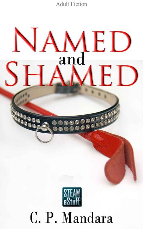 Named and Shamed: Pony girl training begins... (Pony Tales Book 4) ebook cover