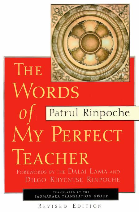 vdoc.pub_the-words-of-my-perfect-teacher-revised-edition ebook cover