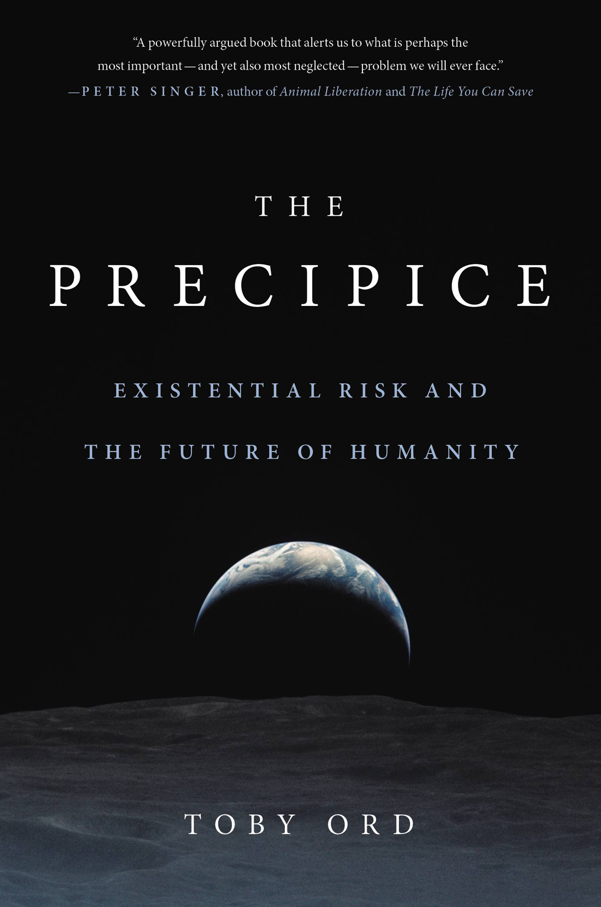 The Precipice ebook cover