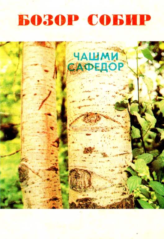 &ETH;&sect;&ETH;&deg;&Ntilde;&circ;&ETH;&frac14;&ETH;&cedil; &ETH;&iexcl;&ETH;&deg;&Ntilde;&bdquo;&ETH;&micro;&ETH;&acute;&ETH;&frac34;&Ntilde;&euro; | &ETH;&ldquo;&ETH;&raquo;&ETH;&deg;&ETH;&middot; &Ntilde;&sbquo;&ETH;&frac34;&ETH;&iquest;&ETH;&frac34;&ETH;&raquo;&Ntilde; | The Poplar's Eye ebook cover