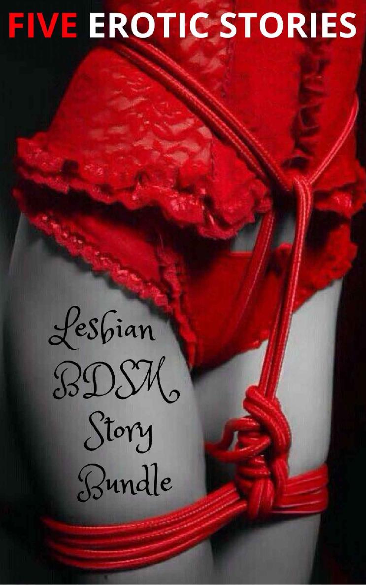 Lesbian BDSM Big Bundle ebook cover