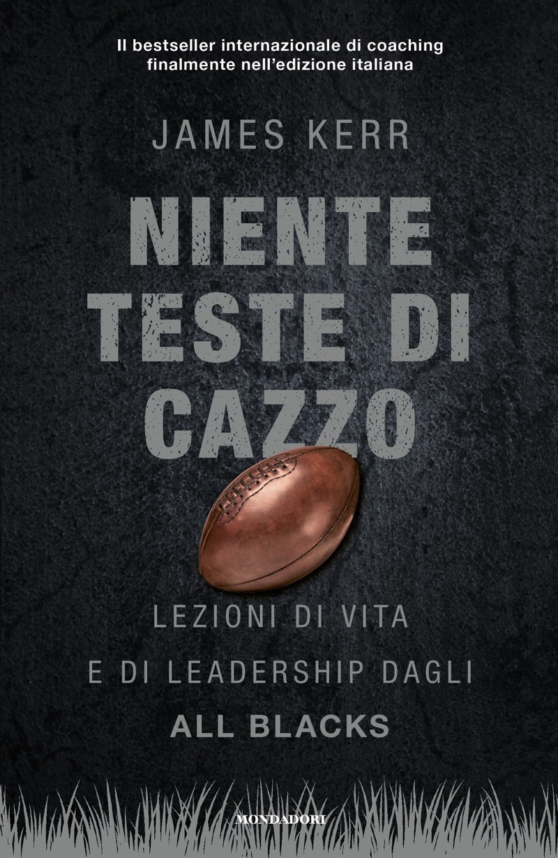 Niente teste di cazzo ebook cover