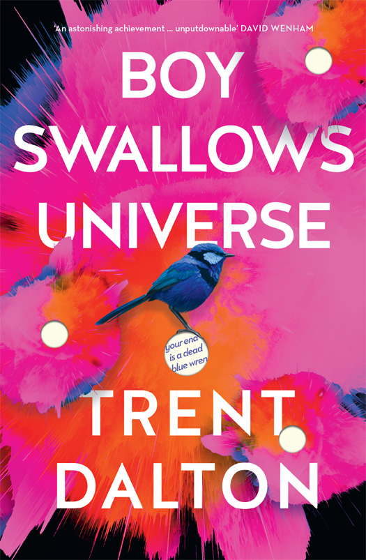Boy Swallows Universe ebook cover
