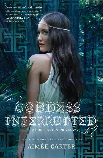 Goddess Interrupted ebook cover
