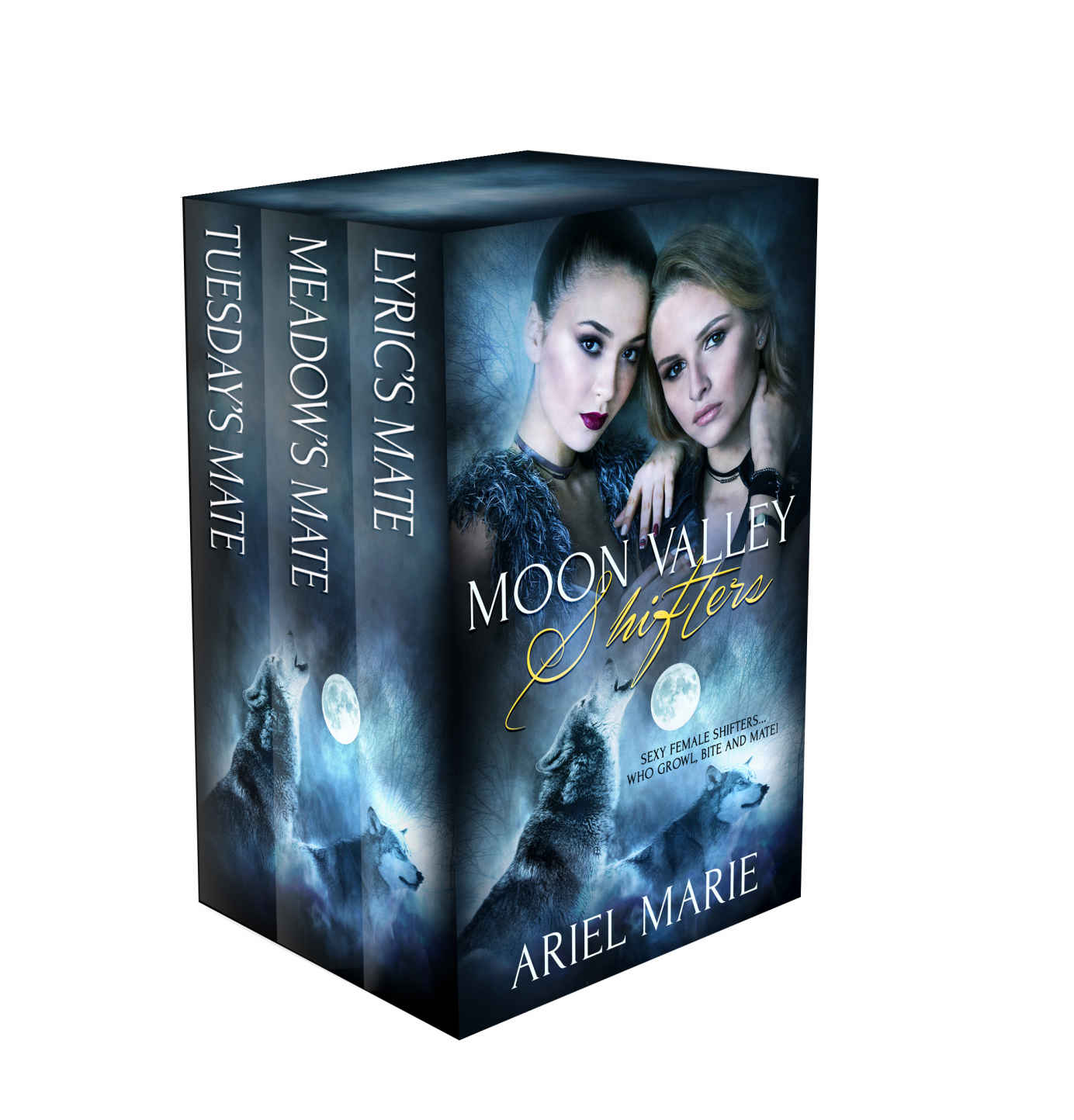 Moon Valley Shifters ebook cover