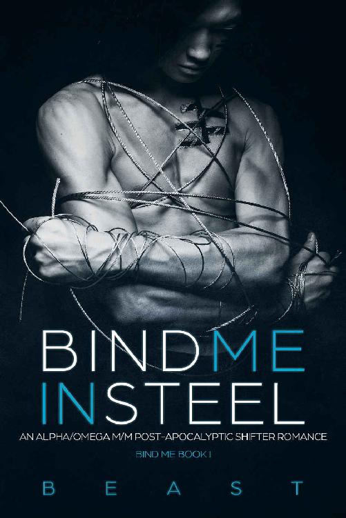 Bind Me in Steel ebook cover