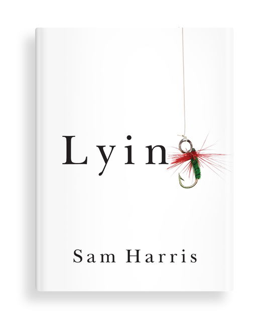 Lying ebook cover