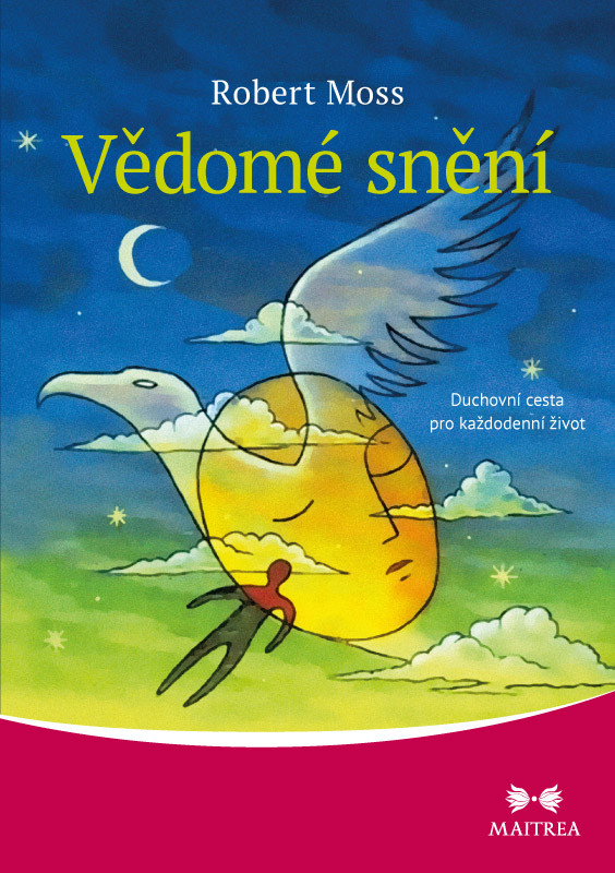 V&Auml;&rsaquo;dom&Atilde;&copy; sn&Auml;&rsaquo;n&Atilde;&shy; ebook cover