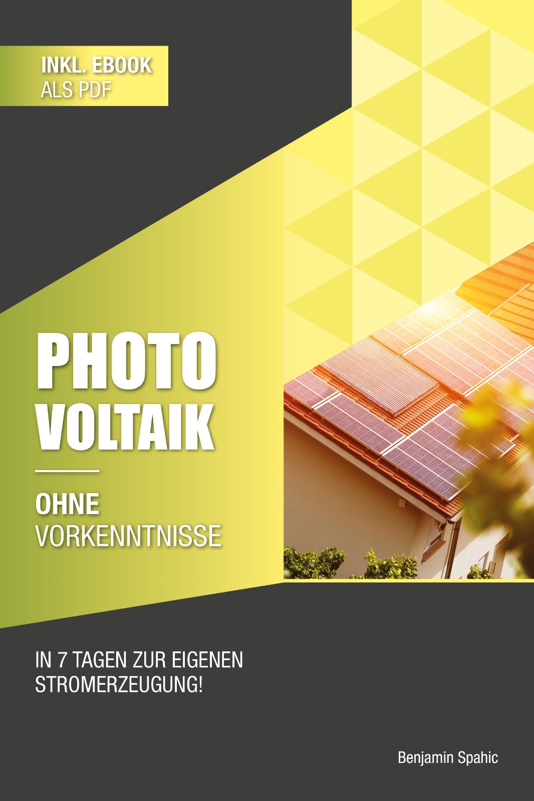 Photovoltaik und Batteriespeicher ohne Vorkenntnisse: Innerhalb von 7 Tagen zur eigenen Stromerzeugung &acirc;&euro;&ldquo; Planung, Kosten, Tipps und Tricks (Ohne Vorkenntnisse zum Ingenieur) (German Edition) ebook cover