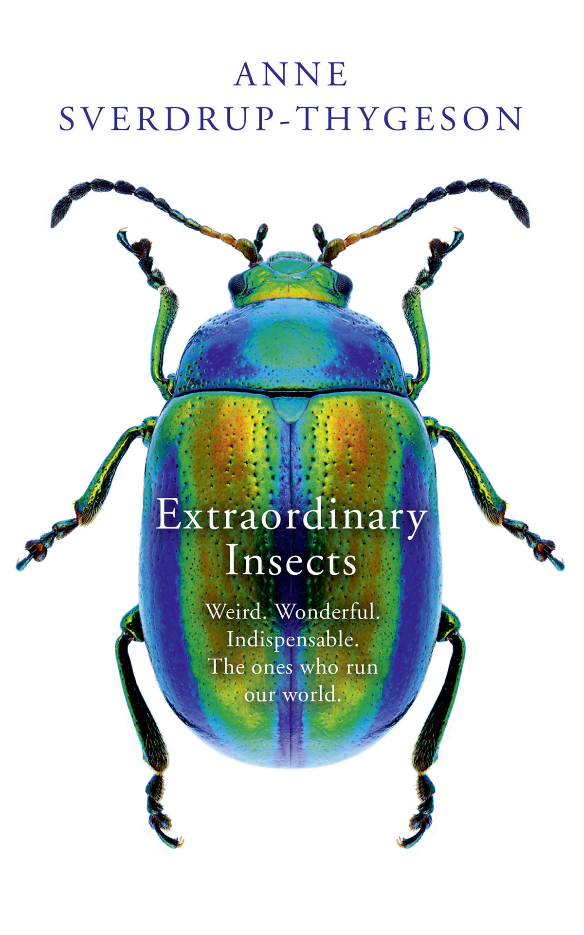 Extraordinary Insects ebook cover