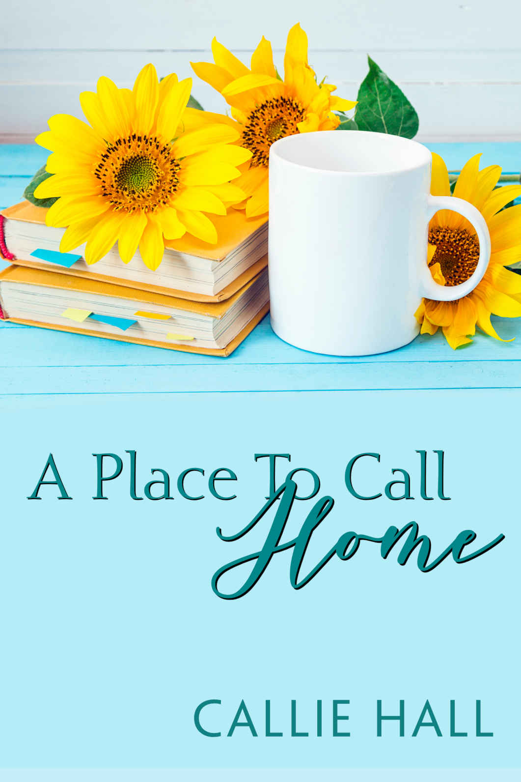 A Place to Call Home ebook cover