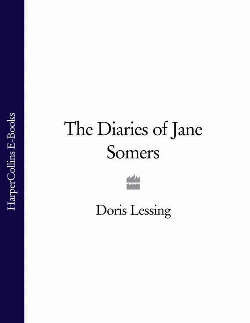 The Diaries of Jane Somers ebook cover