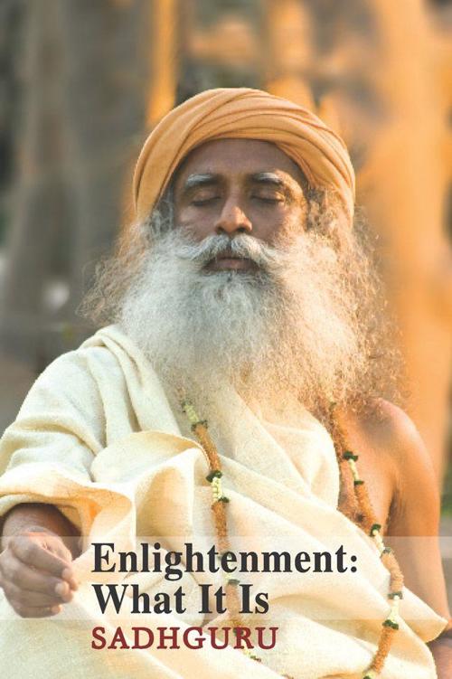 Enlightenment: What It Is (In The Presence of the Master Book 1) ebook cover