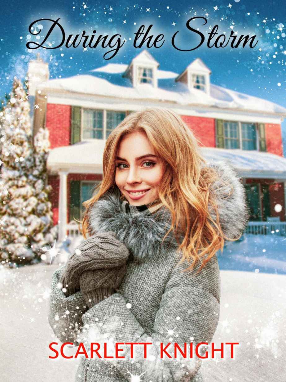 During the Storm ebook cover