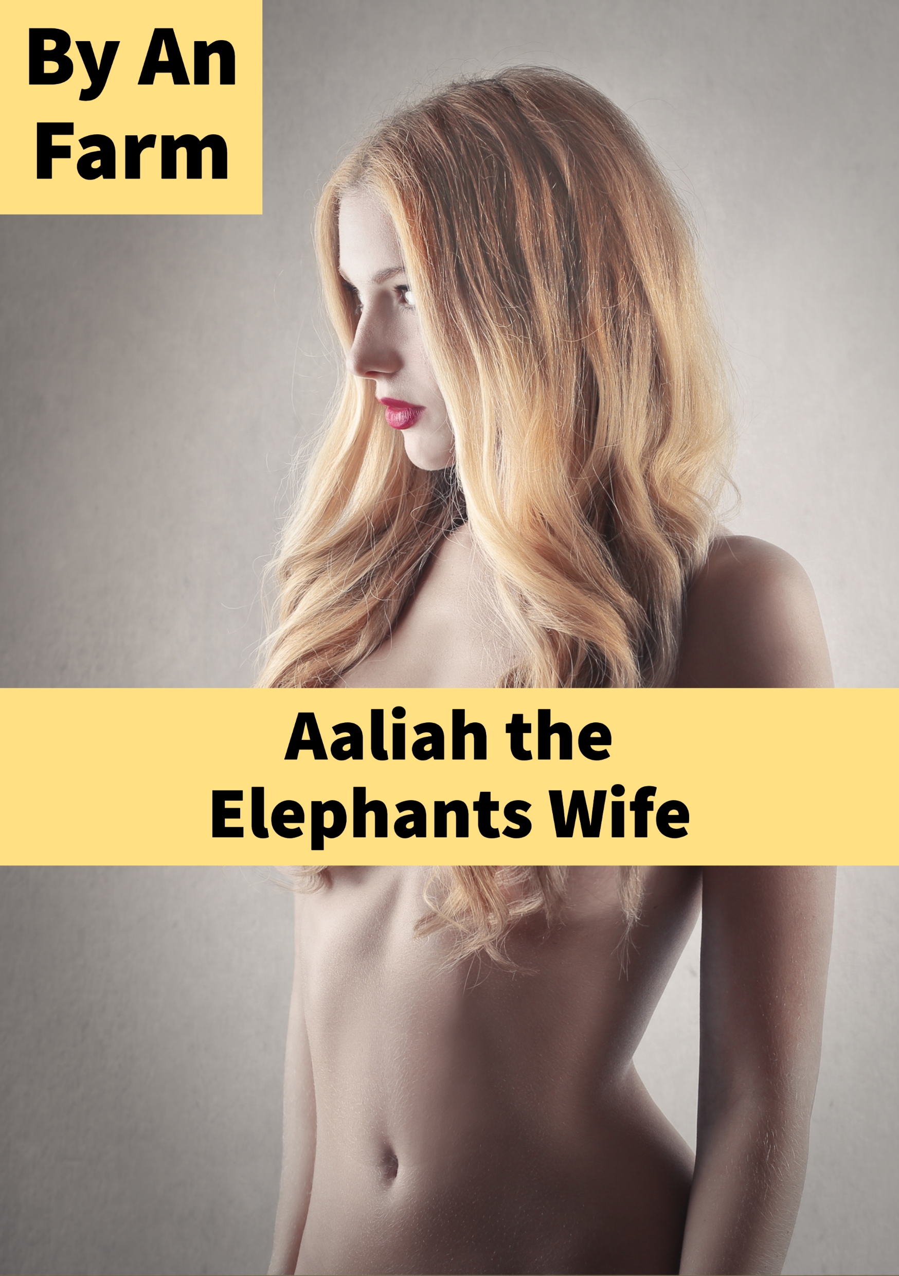 Aaliah the Elephants Wife ebook cover