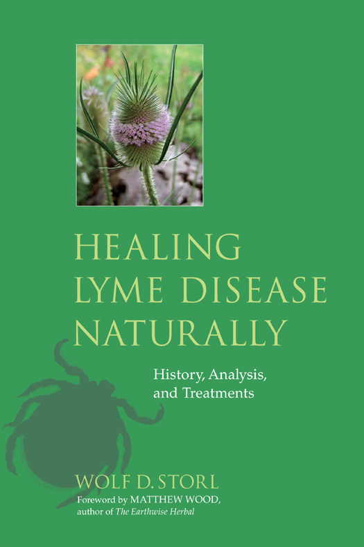 Healing Lyme Disease Naturally ebook cover