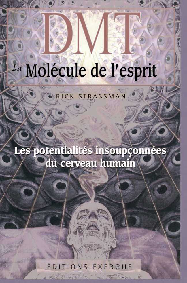 Strassman Rick - DMT La mol&Atilde;&copy;cule de l'esprit ebook cover