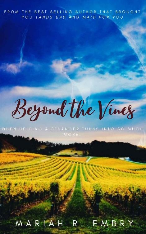 Beyond the Vines: A Romance Novel ebook cover