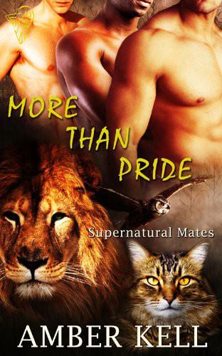 More Than Pride ebook cover