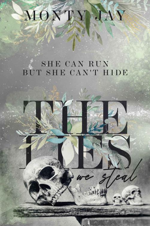 The Lies we Steal (The Hollow Boys Book 1) ebook cover