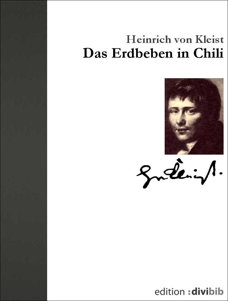 Das Erdbeben in Chili ebook cover