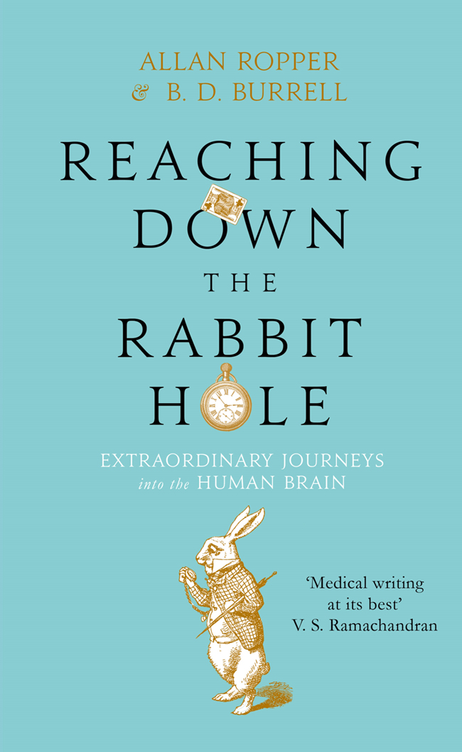 Reaching Down the Rabbit Hole ebook cover