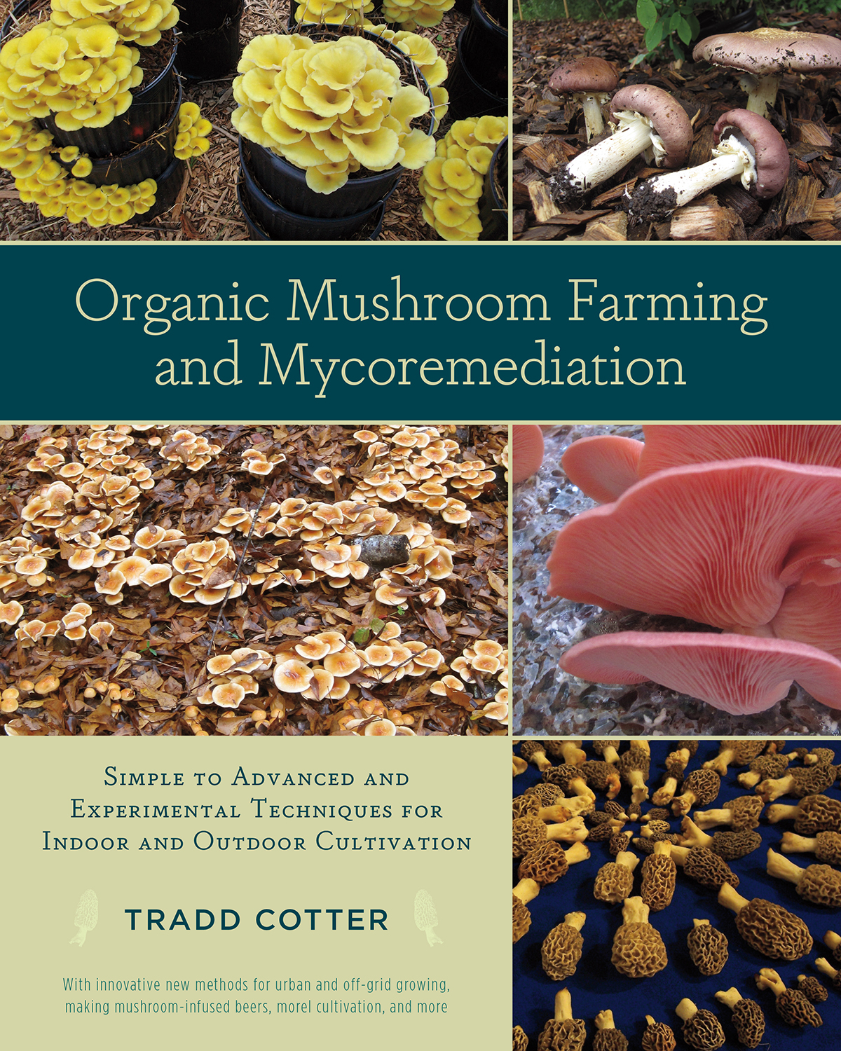 Organic Mushroom Farming and Mycoremediation ebook cover