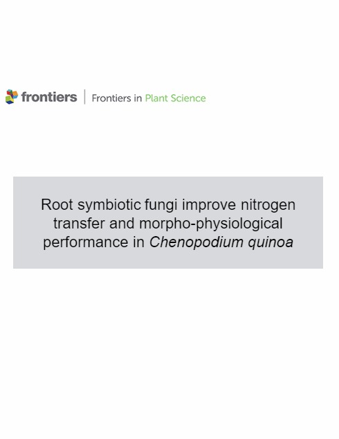 Root symbiotic fungi improve nitrogen transfer and morpho-physiological performance in Chenopodium quinoa ebook cover