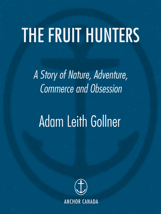 The Fruit Hunters ebook cover
