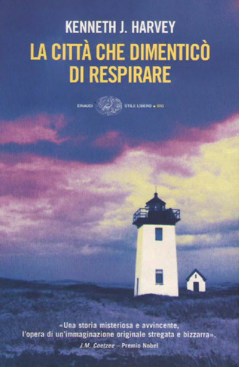 La citt&Atilde;&nbsp; che dimentic&Atilde;&sup2; di respirare ebook cover