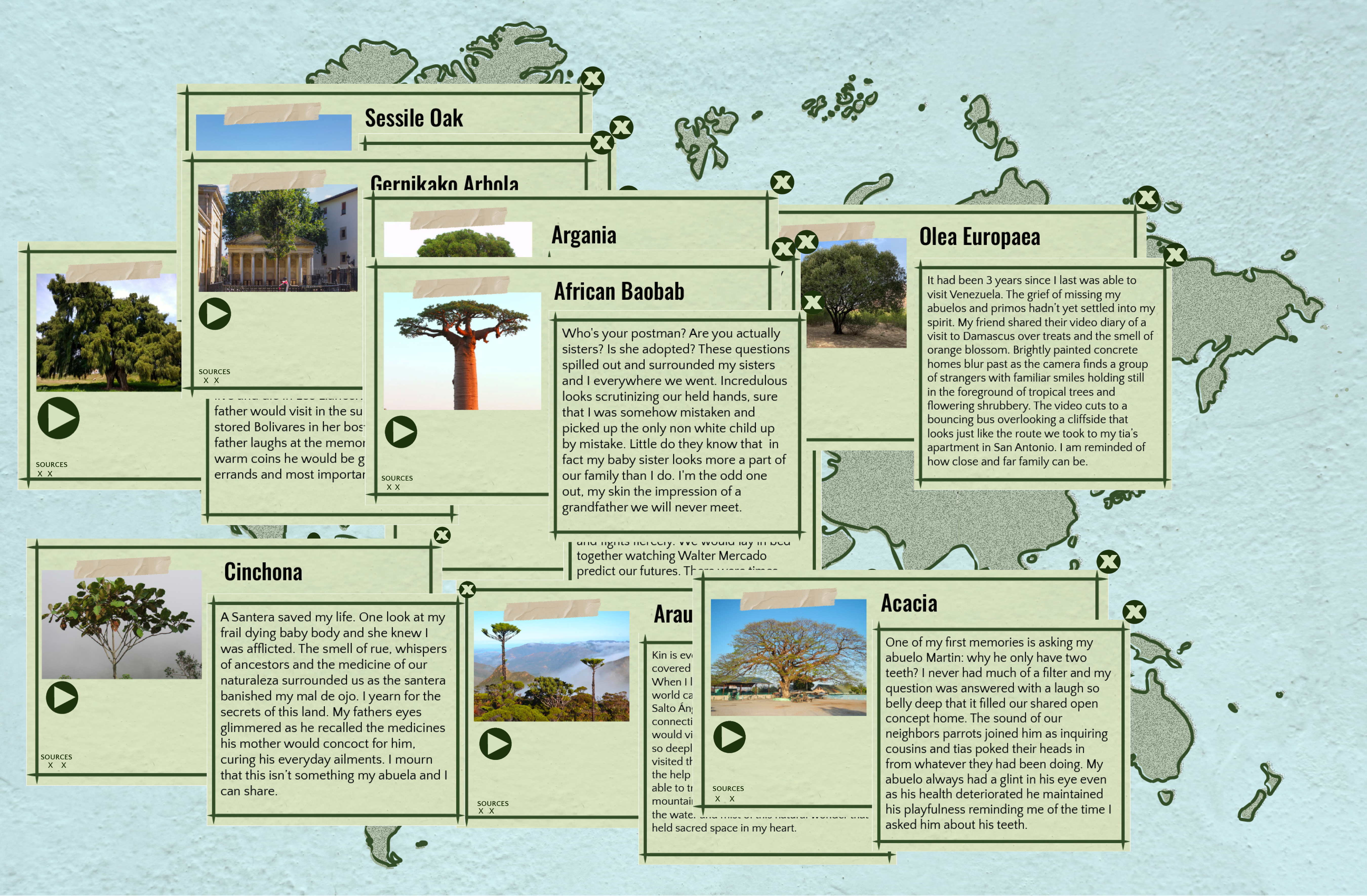 interactive tmc test ebook cover