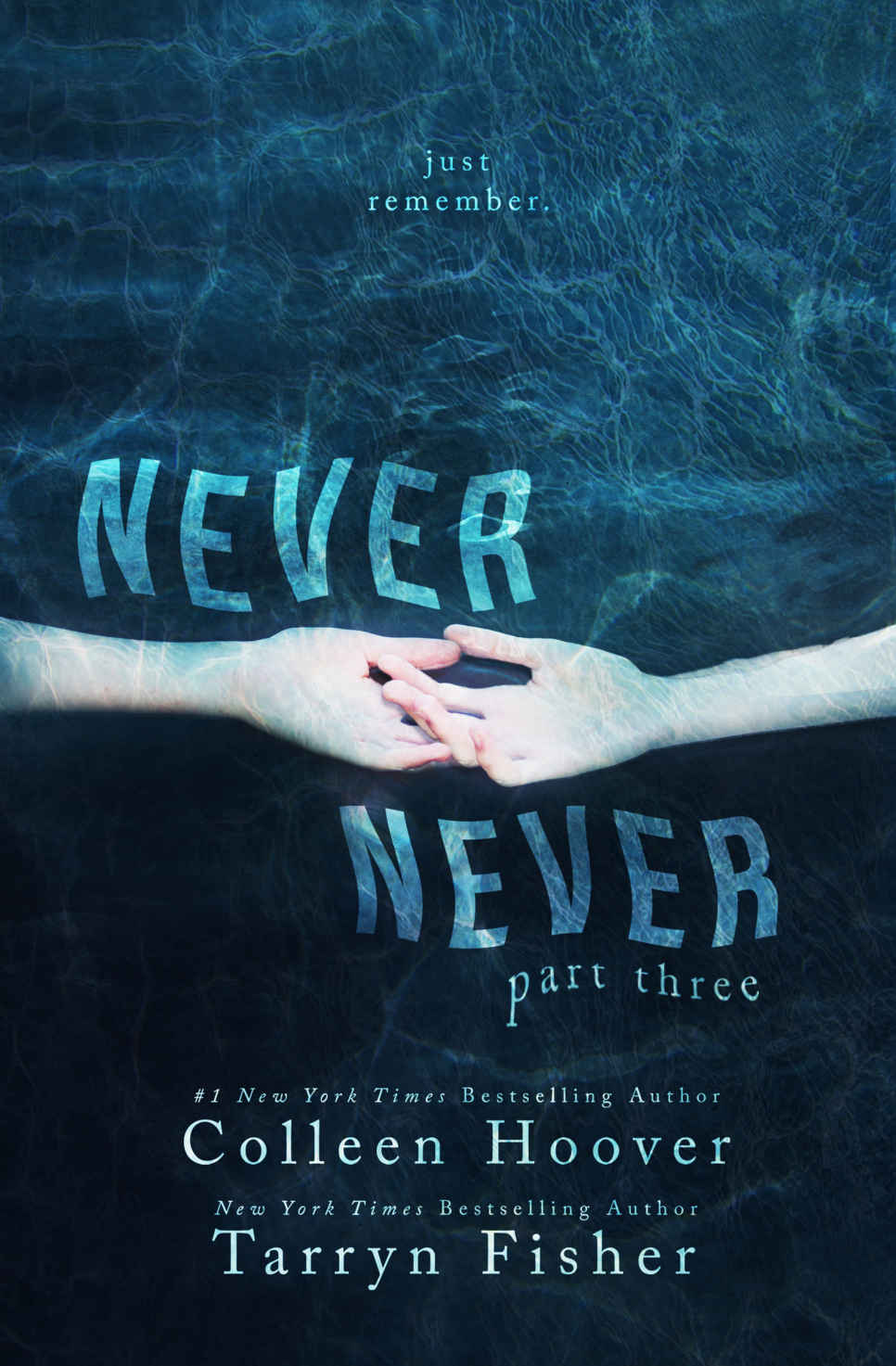 Never Never: Part Three (Never Never #3) ebook cover