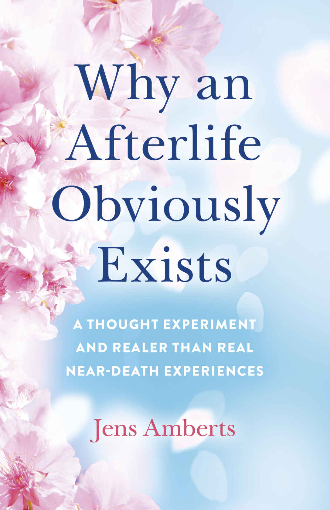 Why an Afterlife Obviously Exists ebook cover
