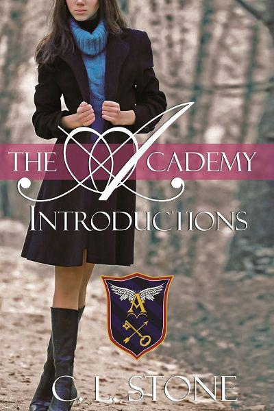 The Academy - Introductions ebook cover