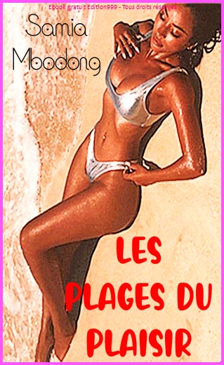 Les plages du plaisir ebook cover