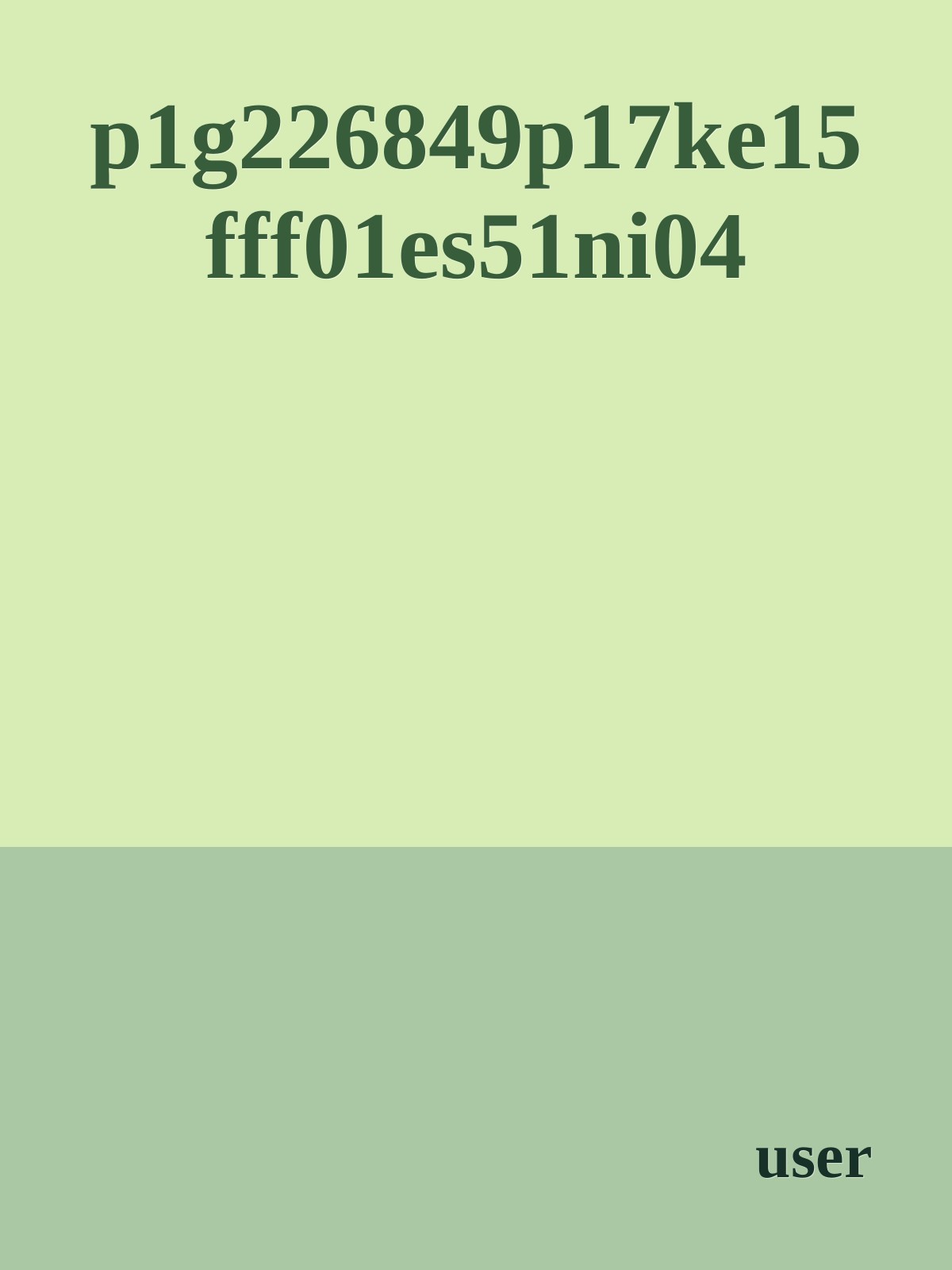 p1g226849p17ke15fff01es51ni04 ebook cover