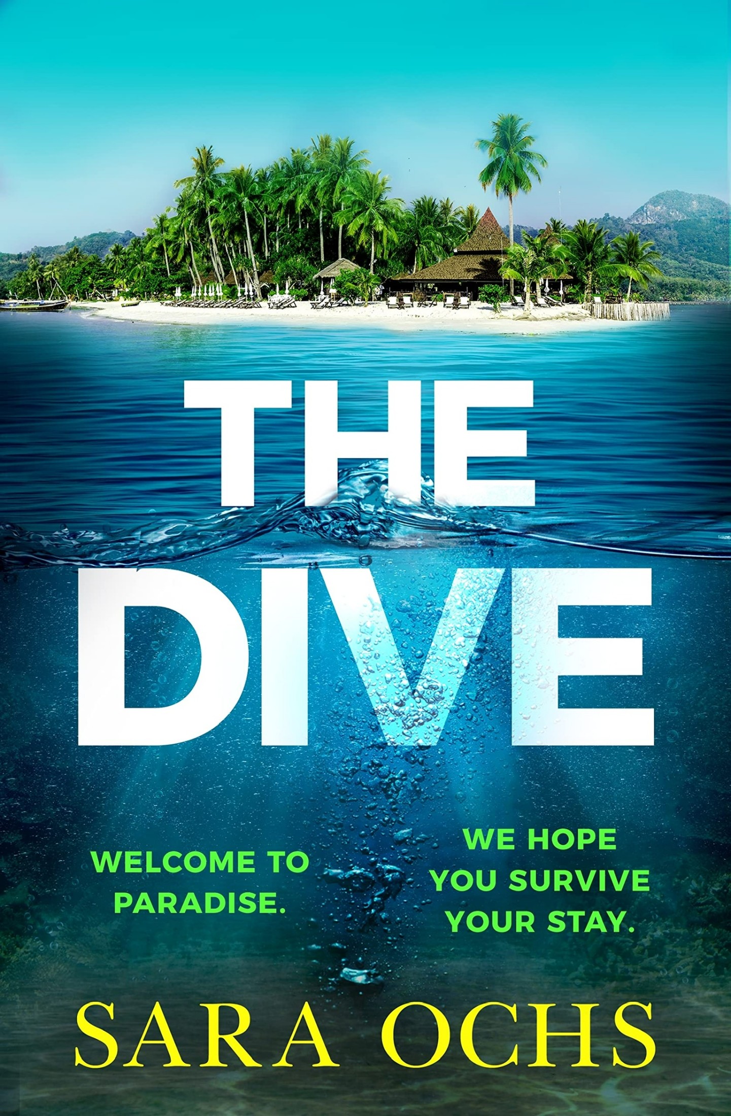 The Dive ebook cover