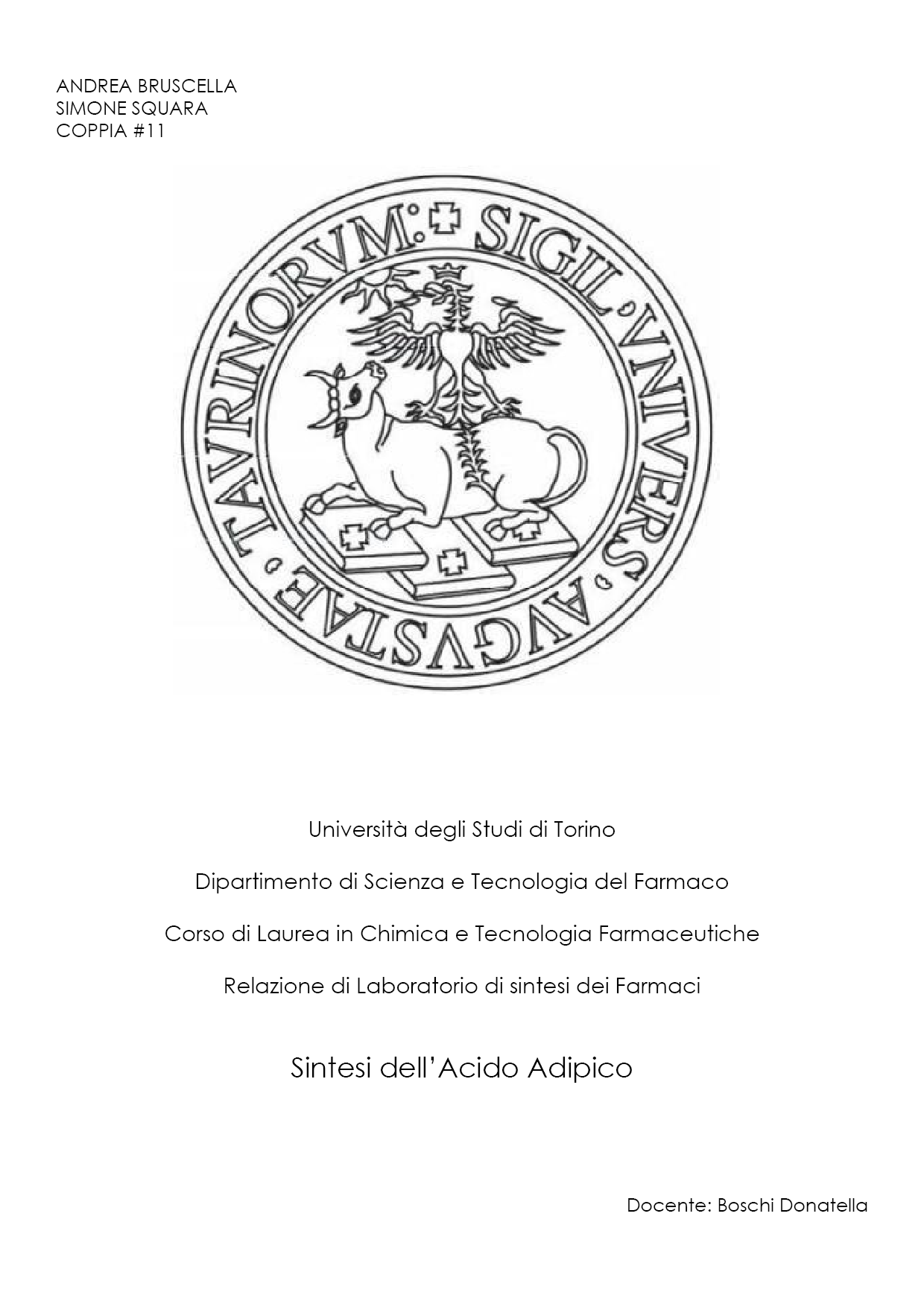 Acido adipico ebook cover