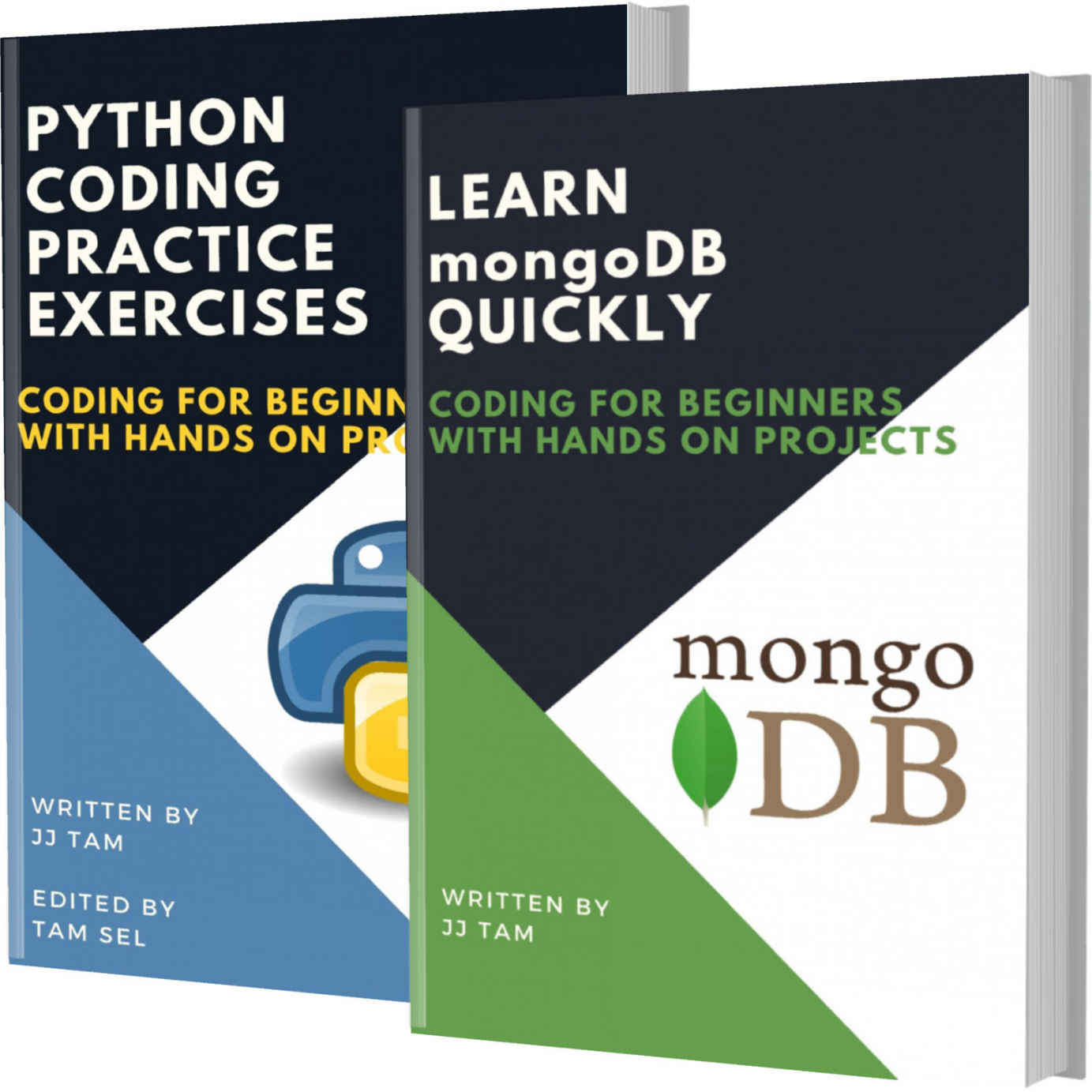 LEARN MONGODB QUICKLY AND PYTHON CODING PRACTICE EXERCISES: Coding For Beginners ebook cover