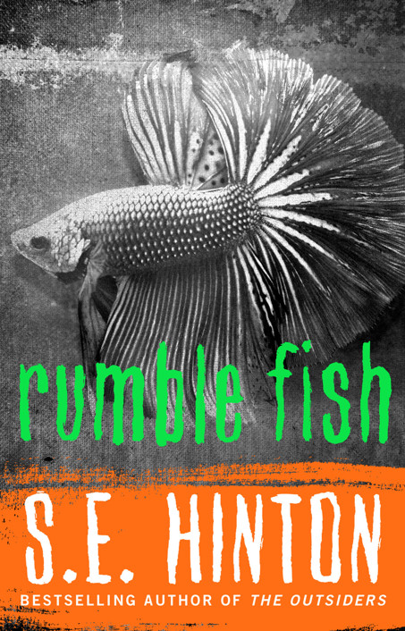 Rumble Fish ebook cover