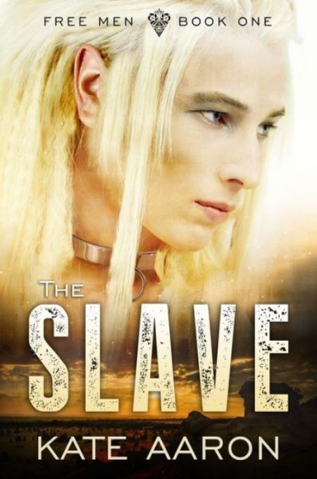 The Slave ebook cover
