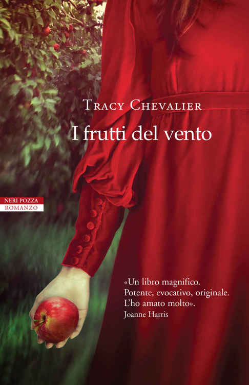 I frutti del vento (Italian Edition) ebook cover
