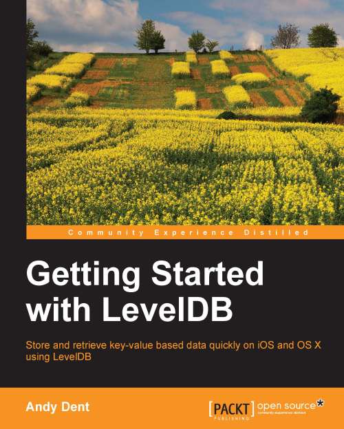 Getting Started with LevelDB ebook cover