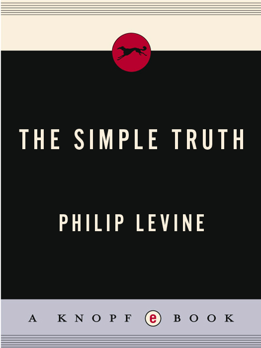 The Simple Truth ebook cover