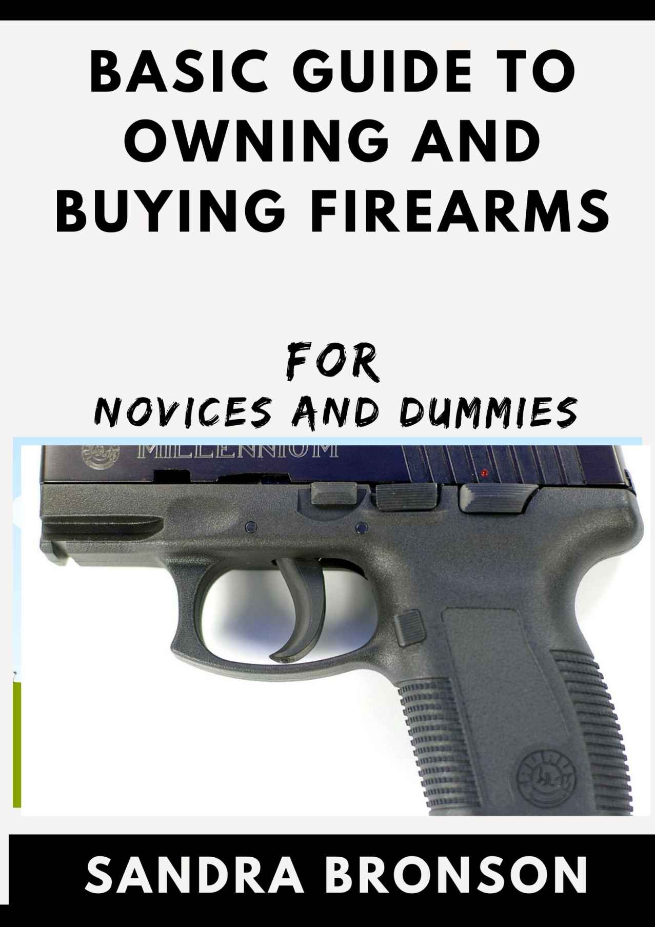 Basic Guide To Owning And Buying Firearms For Novices And Dummies ebook cover