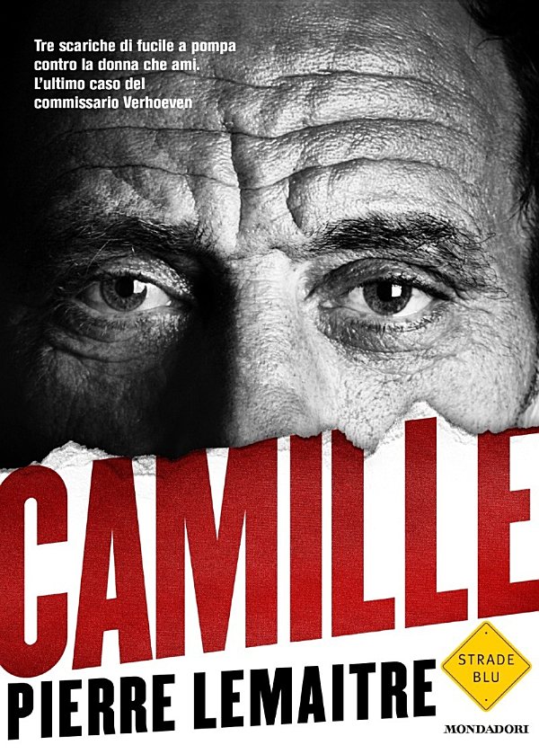 Camille ebook cover