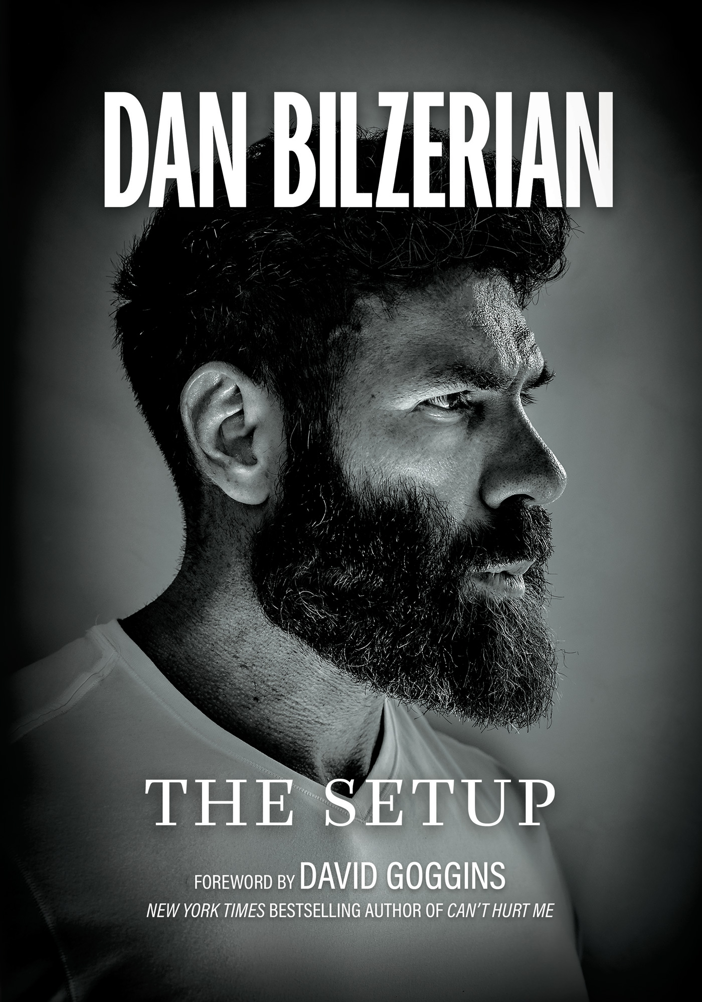 The Setup ebook cover