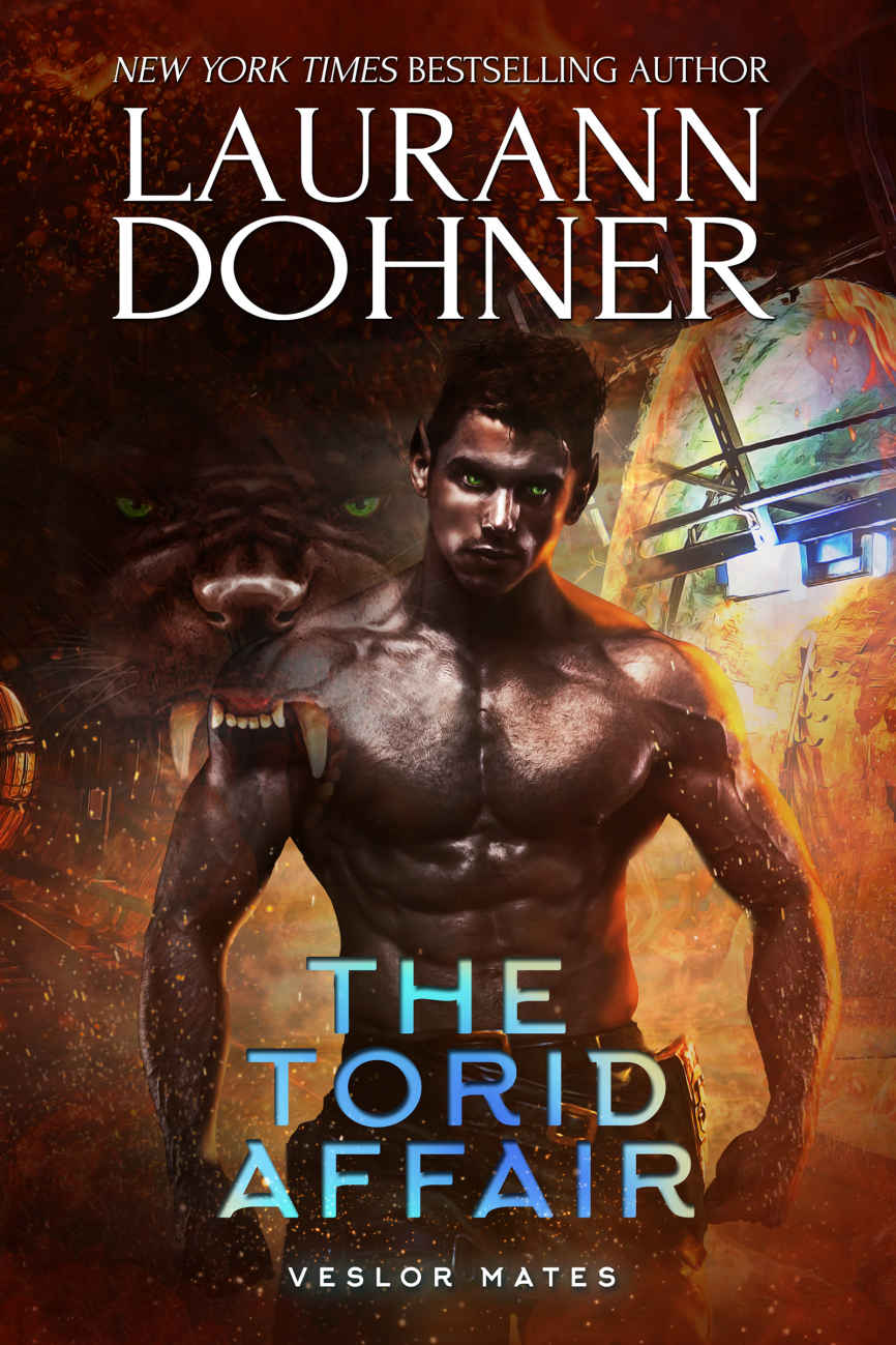 The Torid Affair (Veslor Mates Book 5) ebook cover