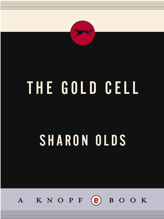 Gold Cell ebook cover