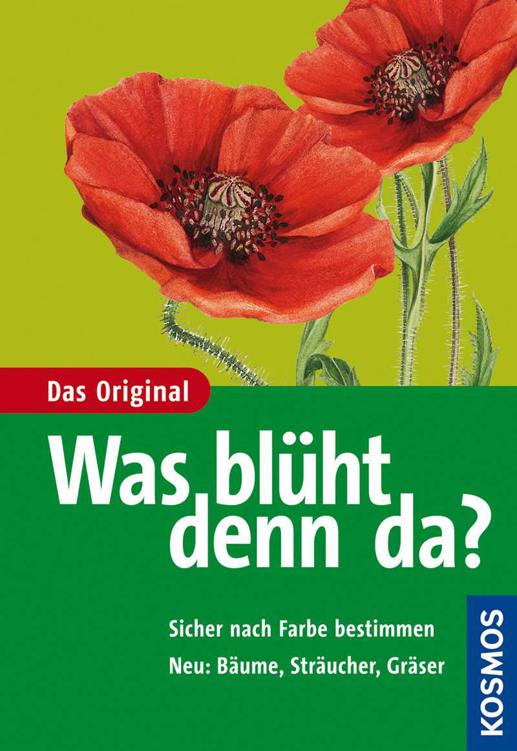 Was bl&Atilde;&frac14;ht denn da? (German Edition) ebook cover